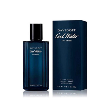 DAVIDOFF Eau de Parfum pour homme